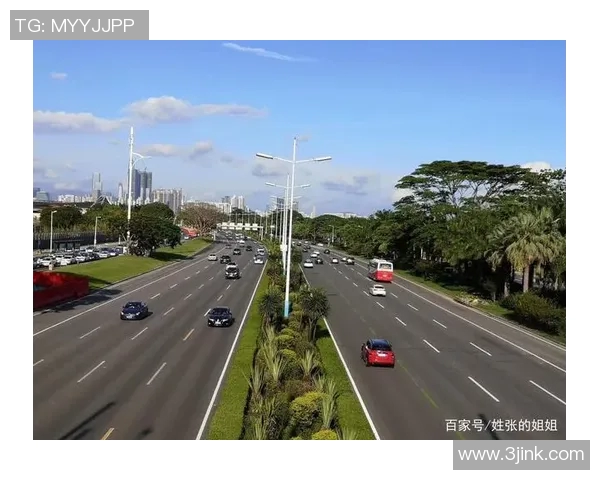 乒乓球场上的追梦旅程：吴伟的奋斗与成长故事